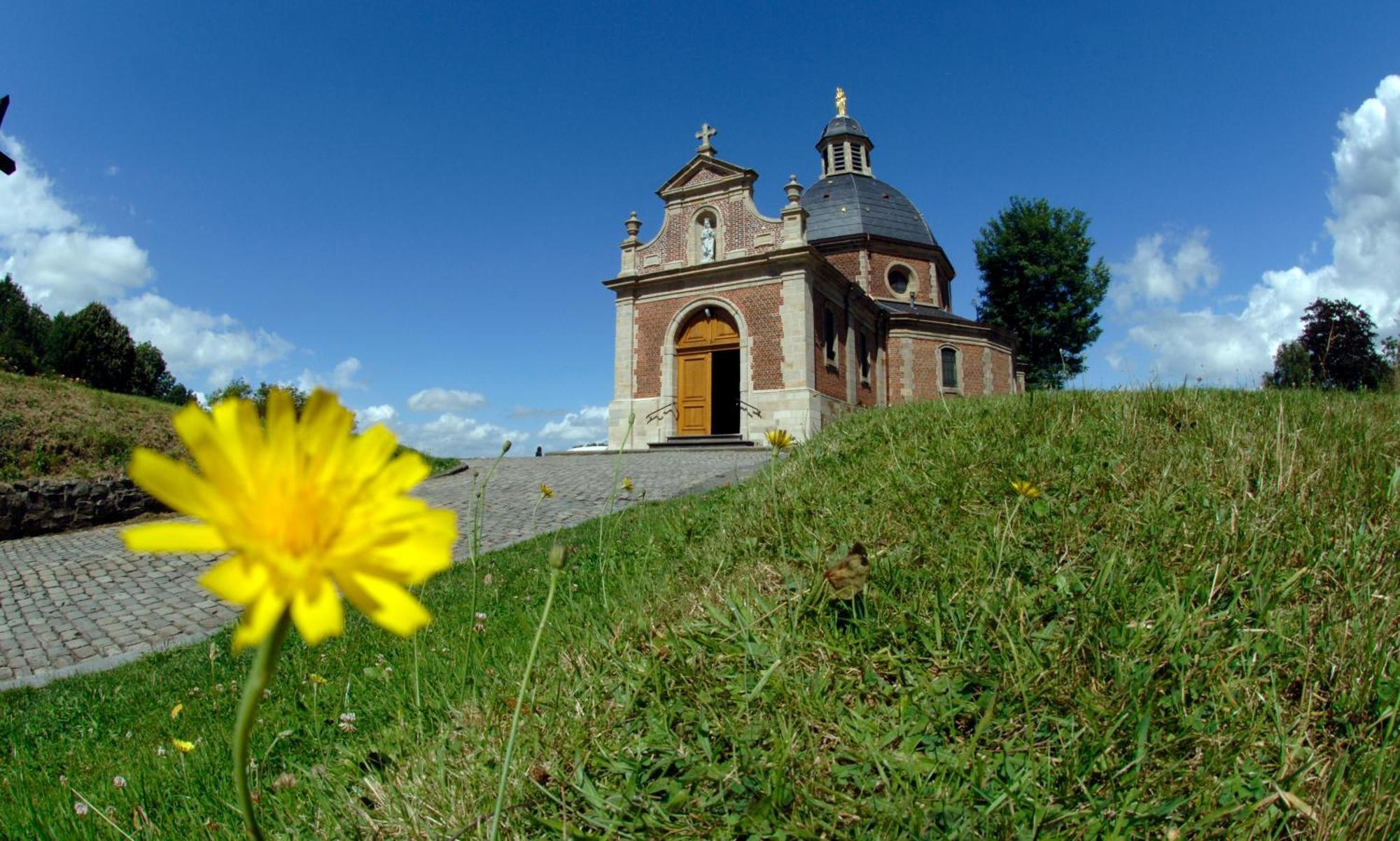 Vakantiewoning Hakuna Matata Geraardsbergen Exterior foto