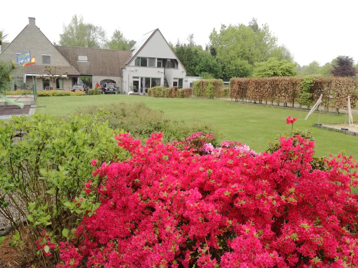 Vakantiewoning Hakuna Matata Geraardsbergen Exterior foto
