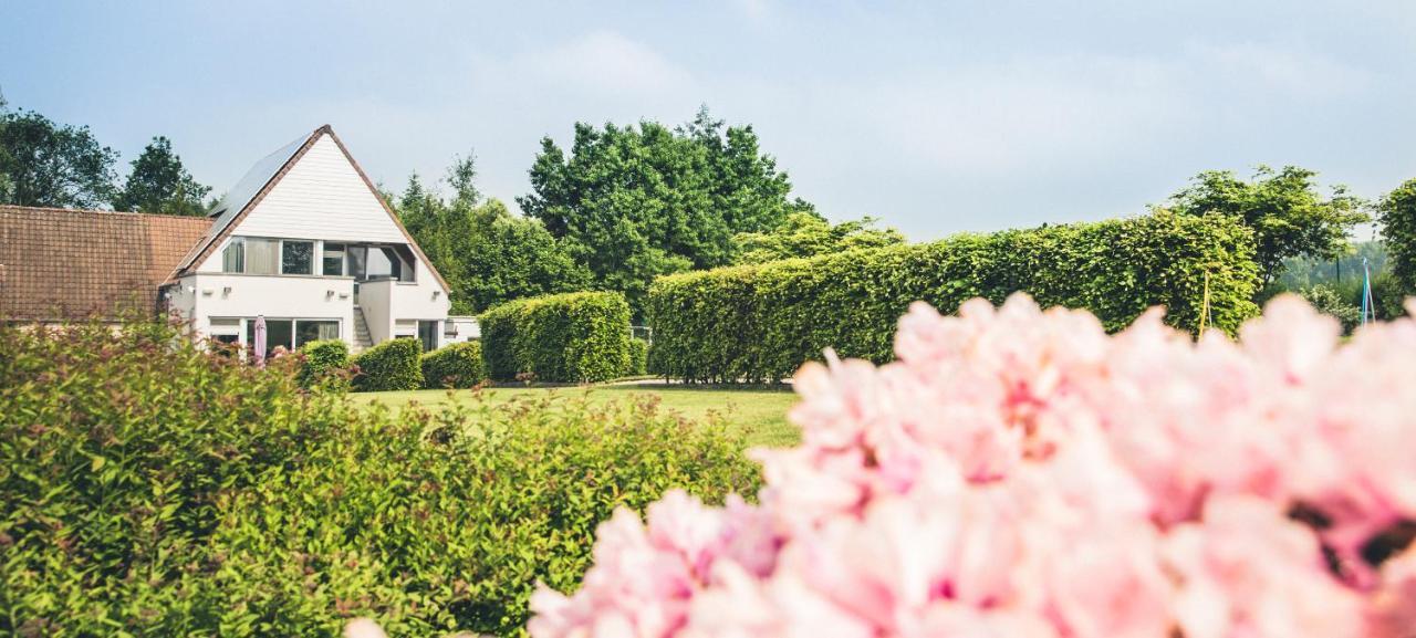 Vakantiewoning Hakuna Matata Geraardsbergen Exterior foto